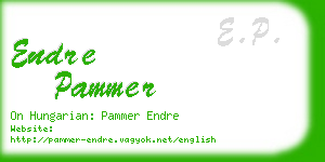 endre pammer business card